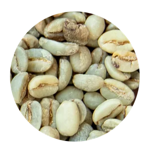 Zielone ziarno